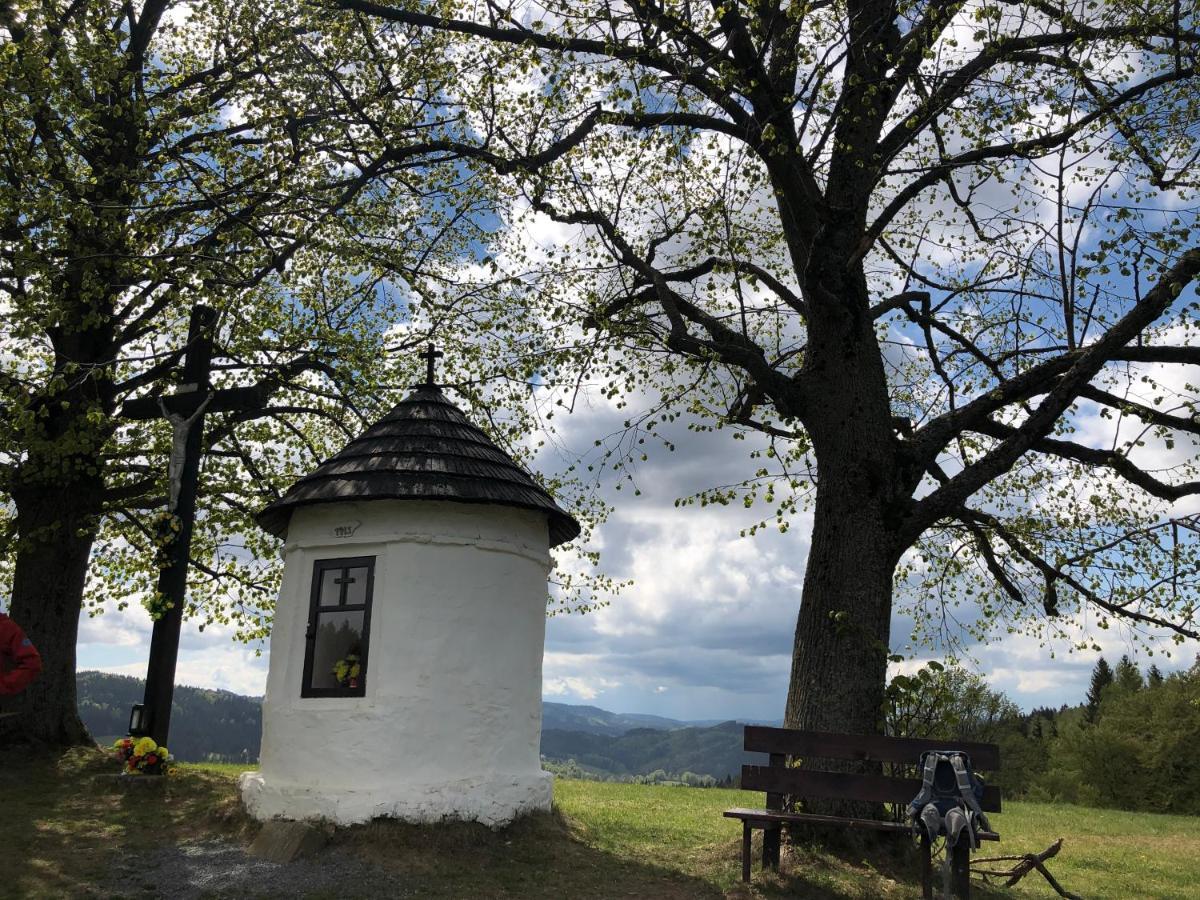 Horska Chalupa Pluskovjanka Velké Karlovice Buitenkant foto