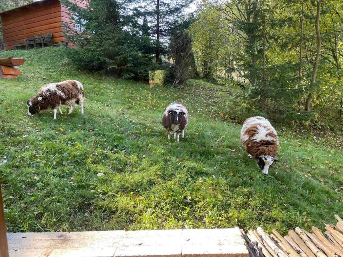 Horska Chalupa Pluskovjanka Velké Karlovice Buitenkant foto